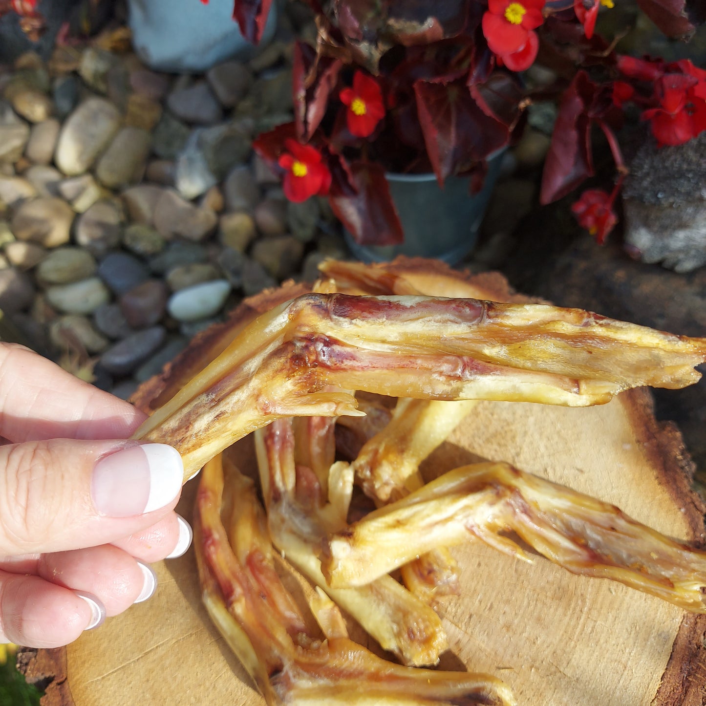 Dried duck feet